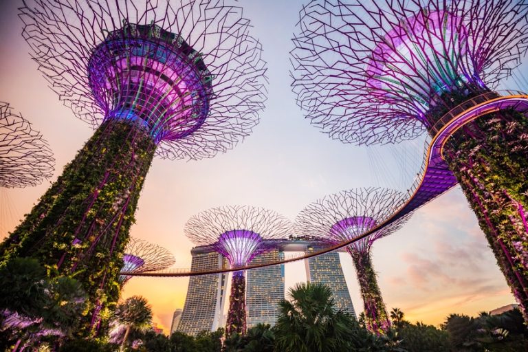 A Singapore Icon – Gardens by the Bay (Pics, Tickets, Hours, & Tips)