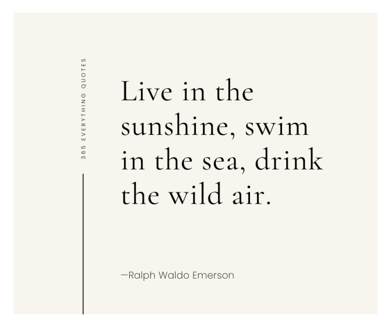 Your Ultimate Beach Quotes Roundup to Embrace Beach Life